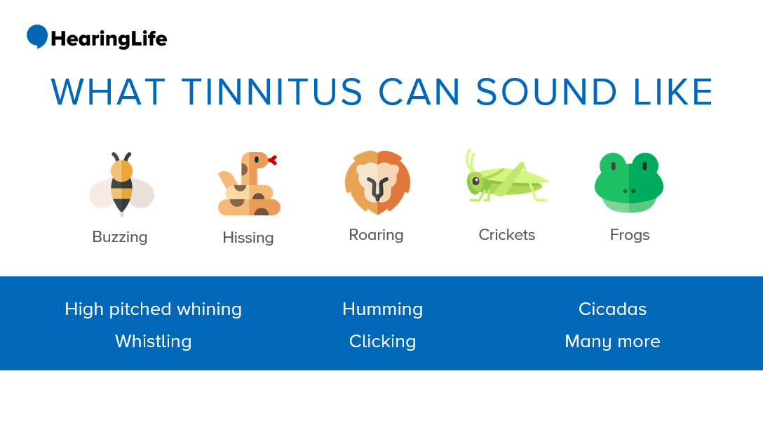 a bee, snake, lion, cricket, and frog in a row with their corresponding sound below to show what tinnitus can sound like.