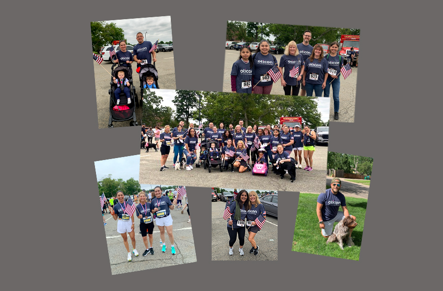 Hearing Aids for Veterans Oticon Government Services