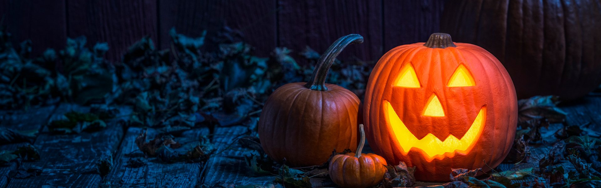 halloween-pumpkin-1920x600