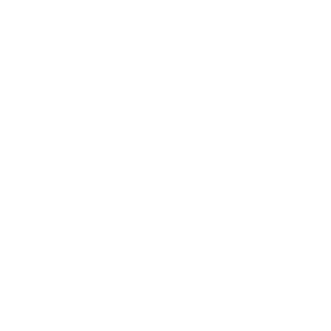 service/repair form icon
